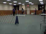 DVC00004.JPG (113779 oCg)