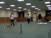 DVC00046.JPG (109694 oCg)