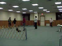 DVC00055.JPG (109443 oCg)
