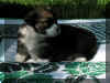 P6010619sm.jpg (75820 oCg)