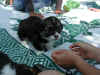 P6010632sm.jpg (91060 バイト)