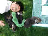 P6010637sm.jpg (123177 バイト)