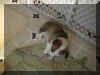 P6210709sister.jpg (42343 oCg)