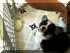 P6210710sm.jpg (73856 oCg)