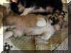 P6210717withbrother.jpg (36211 oCg)