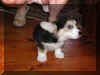 P6210721gigi8wks1.jpg (31264 oCg)