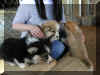 P6210728gigi8wksall.jpg (43586 oCg)