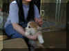 P6210729gigi8wskrw1.jpg (38271 oCg)