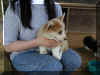 P6210738gigi8rw3.jpg (43820 oCg)