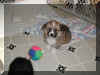 P6220758iresm.jpg (36132 oCg)