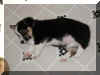 P7070781trineru2.jpg (27238 oCg)