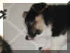 P7070782trineru3.jpg (26803 oCg)
