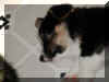 P7070782trineru3.jpg (26803 oCg)