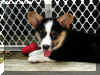 P7200836sm1.jpg (51537 oCg)