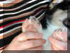 P7200841ashi.jpg (41329 oCg)