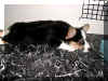 P7200844yoko1.jpg (54261 oCg)