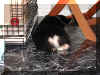 P7200847sm5.jpg (55084 oCg)