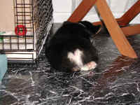 P7200847sm5.jpg (55084 oCg)