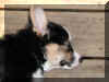 P7210855atama1.jpg (31941 oCg)