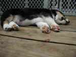 P7210856yoko.jpg (69182 oCg)