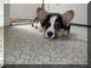P8030884what.jpg (59035 oCg)