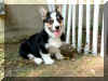 P804089312wks.jpg (91679 oCg)