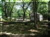 P8080917park.jpg (121863 oCg)
