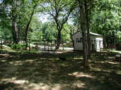 P8080917park.jpg (121863 oCg)