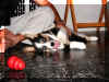 P8080923nose3.jpg (79230 oCg)