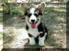 P810092814kw2simba1.jpg (111102 oCg)