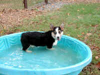 P8180942WATER1.jpg (100290 oCg)