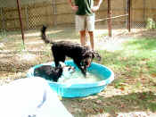 P8180943WATER2.jpg (106044 oCg)