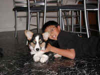 P8180946MAKO1.jpg (72879 oCg)