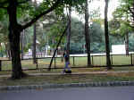 P8250960sm400.jpg (94557 oCg)