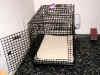P8310975crate.jpg (59744 oCg)