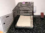 P8310975crate.jpg (59744 oCg)