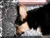 P902098216wkface.jpg (86750 oCg)