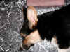 P902098216wkface.jpg (86750 oCg)