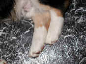 P902098416wkleg.jpg (101055 oCg)