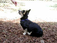 P9070996sit.jpg (89531 oCg)