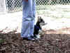 P9070997getclose.jpg (107059 oCg)