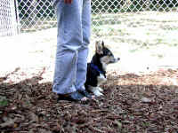 P9070997getclose.jpg (107059 oCg)