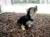P9070998speak.jpg (108486 oCg)
