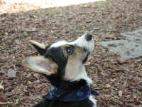 P9070999stay1.jpg (93357 oCg)