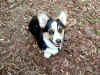 P9071004stay.jpg (122365 oCg)