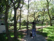 P9071009entrancepuppy.jpg (130303 oCg)