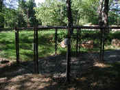 P9071010deguchipuppy.jpg (120209 oCg)