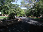 P9071013park1.jpg (99805 oCg)