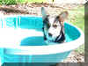 P9071015pool.jpg (93767 oCg)