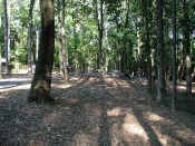 P9071020trail3.jpg (127203 oCg)
